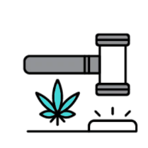 elevated wellness lifestyle image